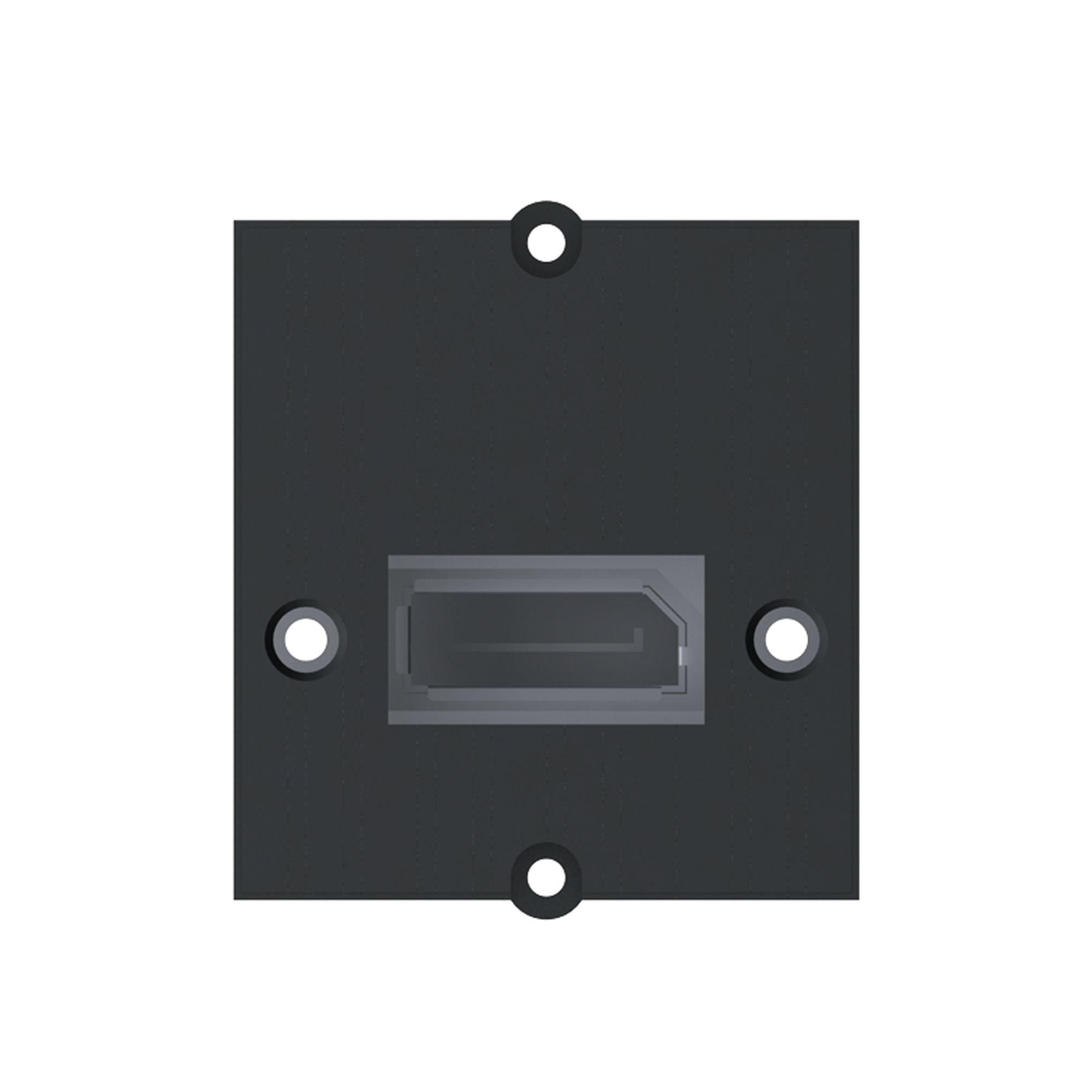 BACHMANN Custom Modul DisplayPort BACHMANN Custom Modul DisplayPort