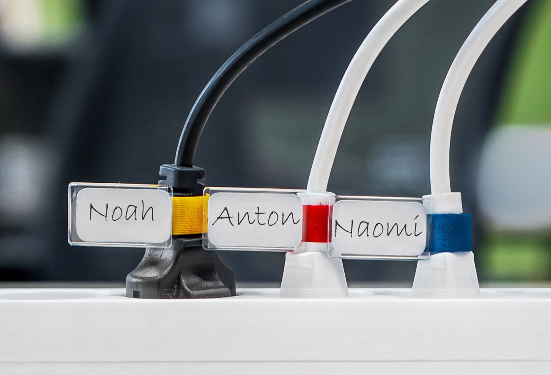 Das Wichtigste in Kürze